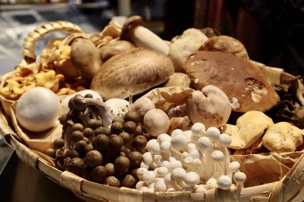 Les clés pour choisir la bonne agence de traduction : conseils et recommandations