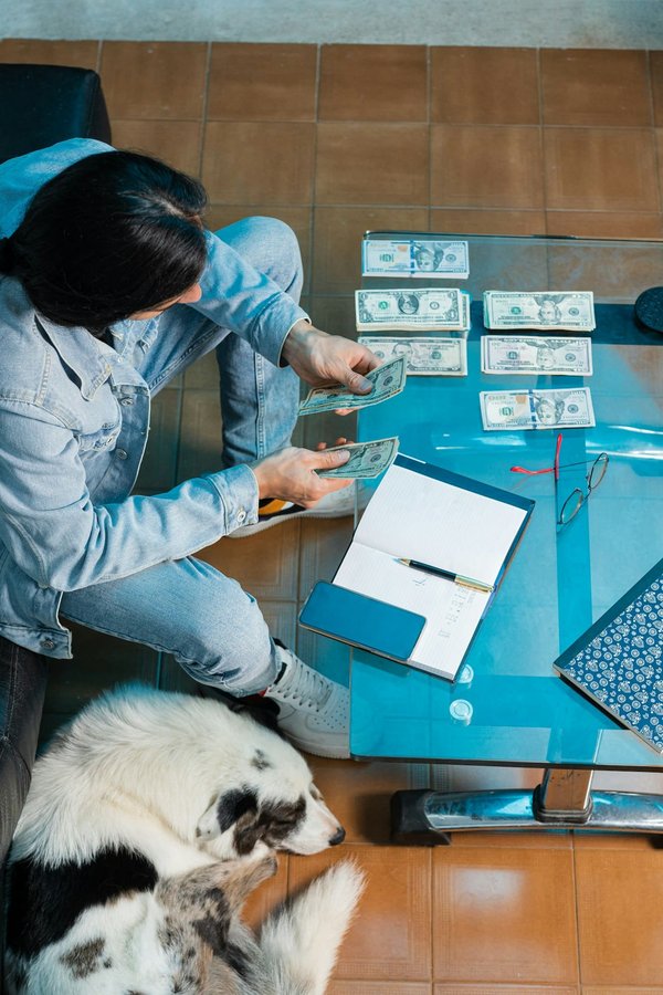 Optimisez la gestion financière de votre agence de voyage à Paris en sollicitant un expert-comptable